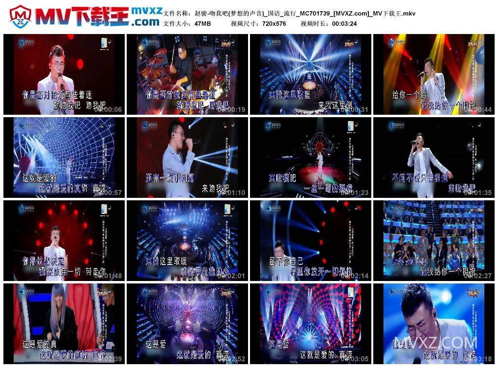 赵骏-吻我吧(梦想的声音)_国语_流行_MC701739